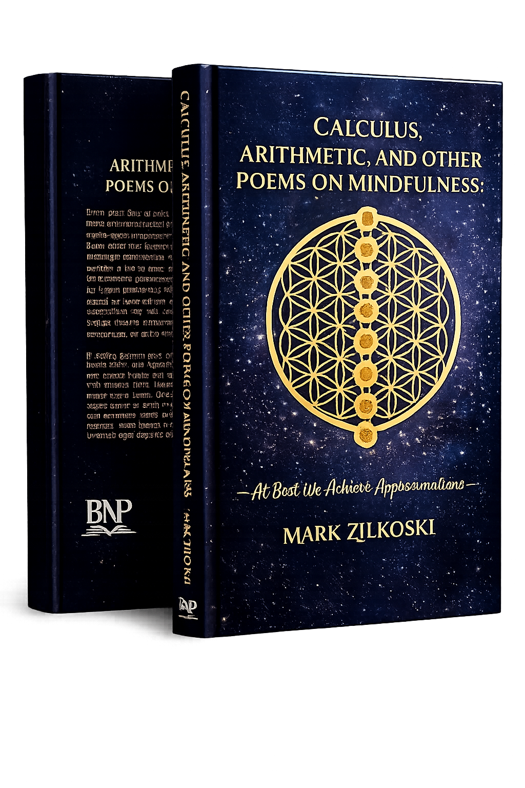 Book cover, 3D hardcover edition